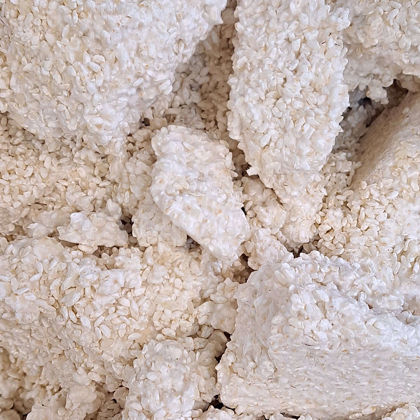 bio Kome Koji Reis Koji Aspergillus Oryae für shiro miso und ama miso