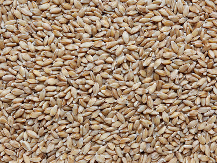 Einkorn