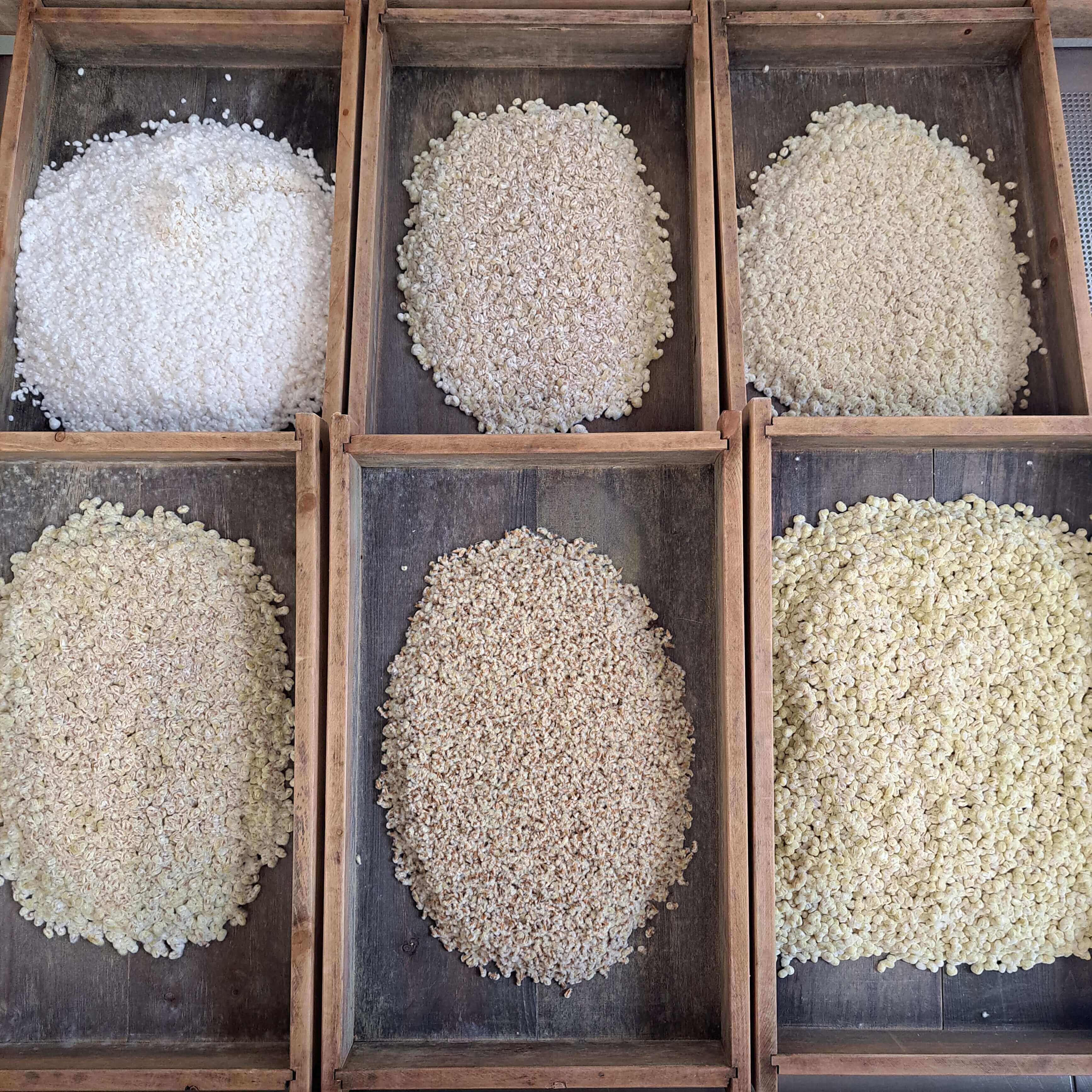 Koji - Nationalpilz Japans