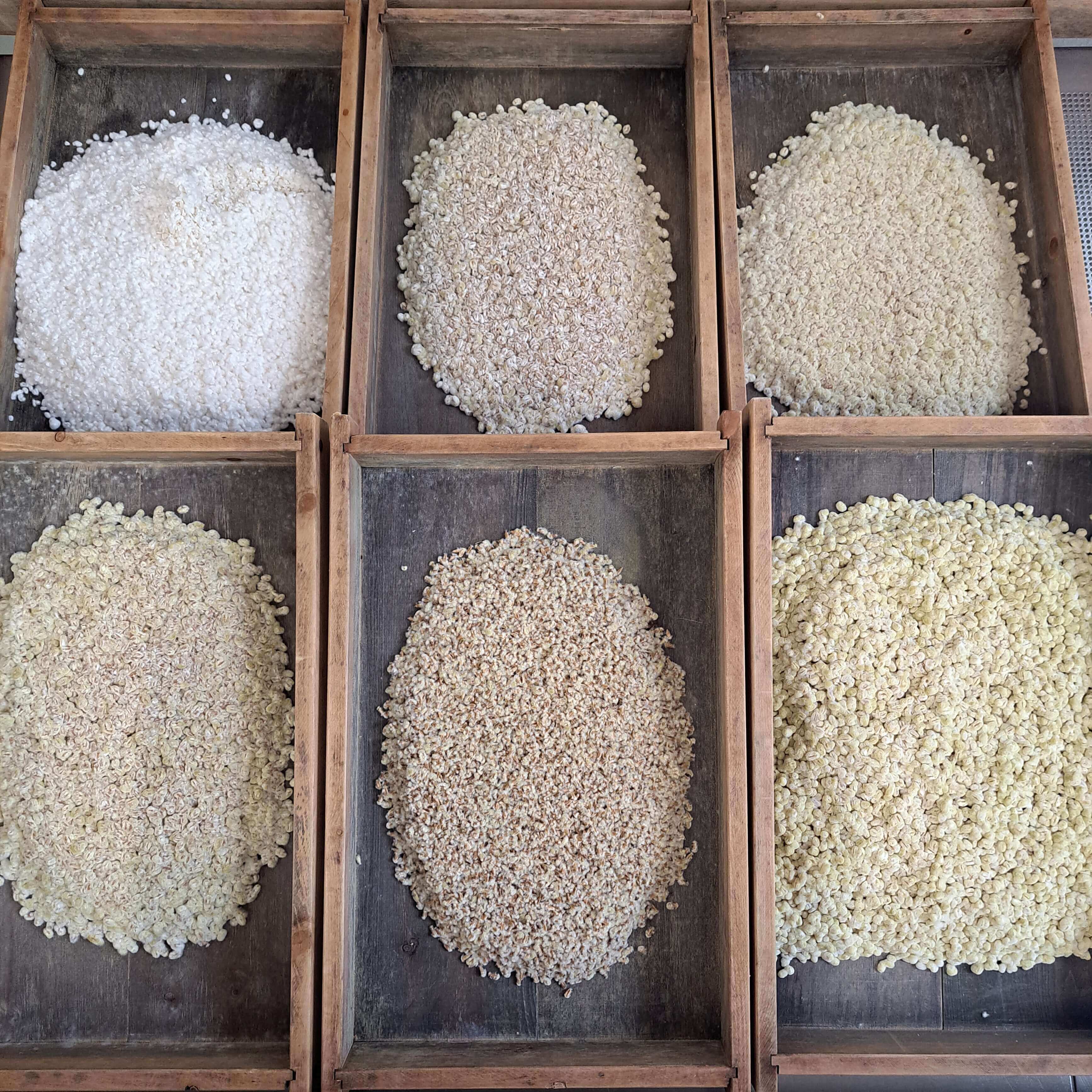 Koji - Nationalpilz Japans