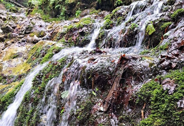 Wasser