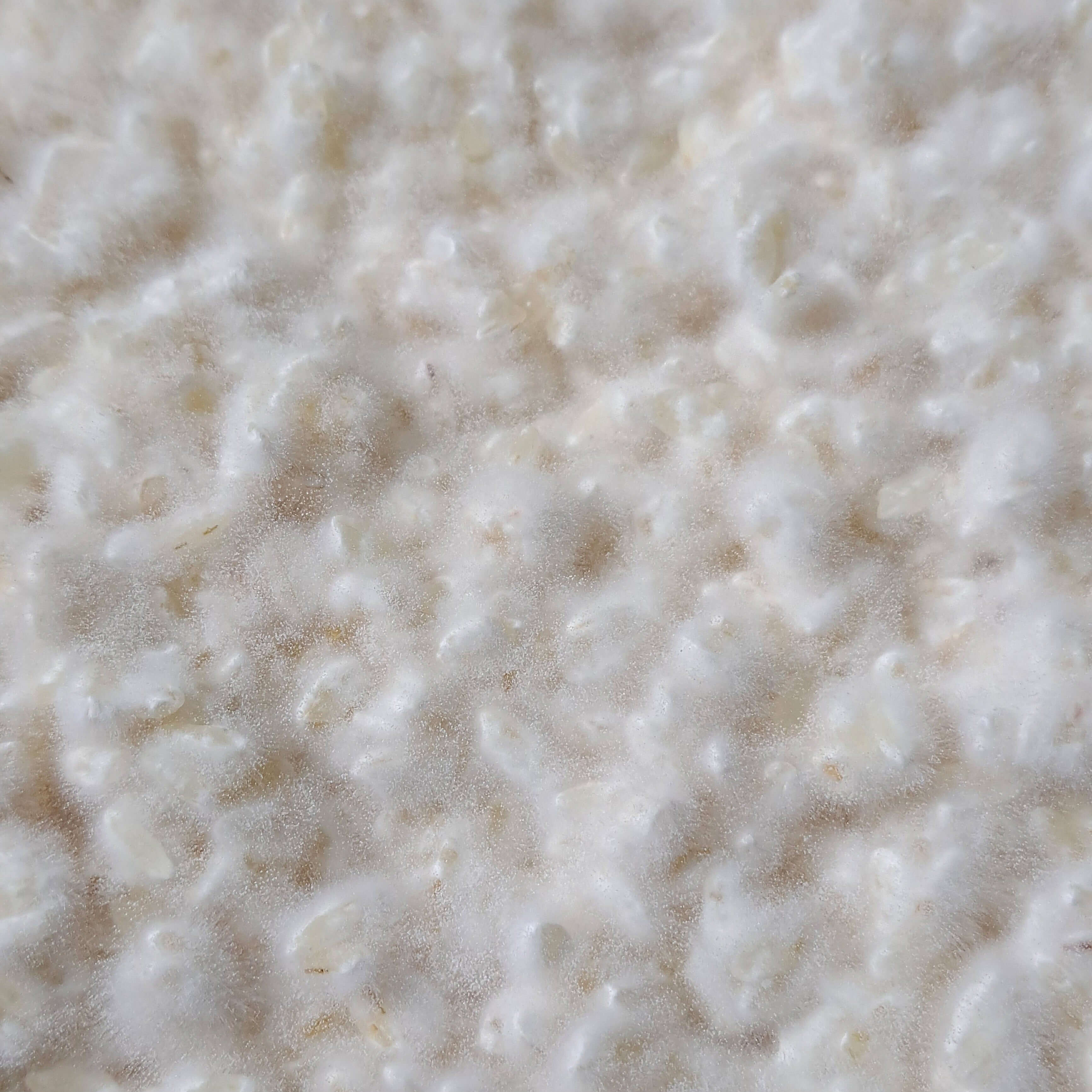 bio koji reis für sagohachi