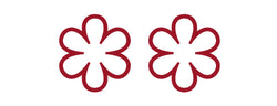 Michelin 2-Star Logo