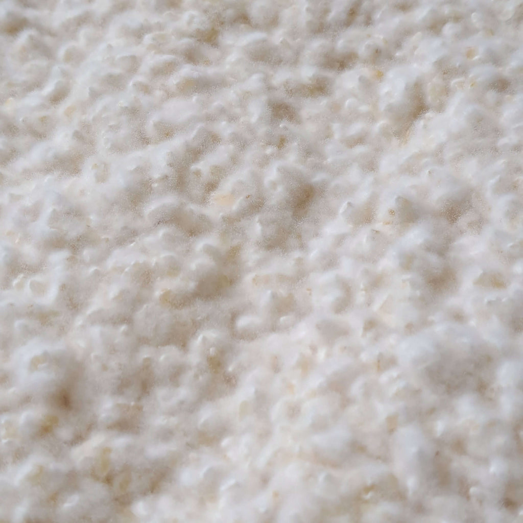 bio reis koji für koji tamari und shio koji