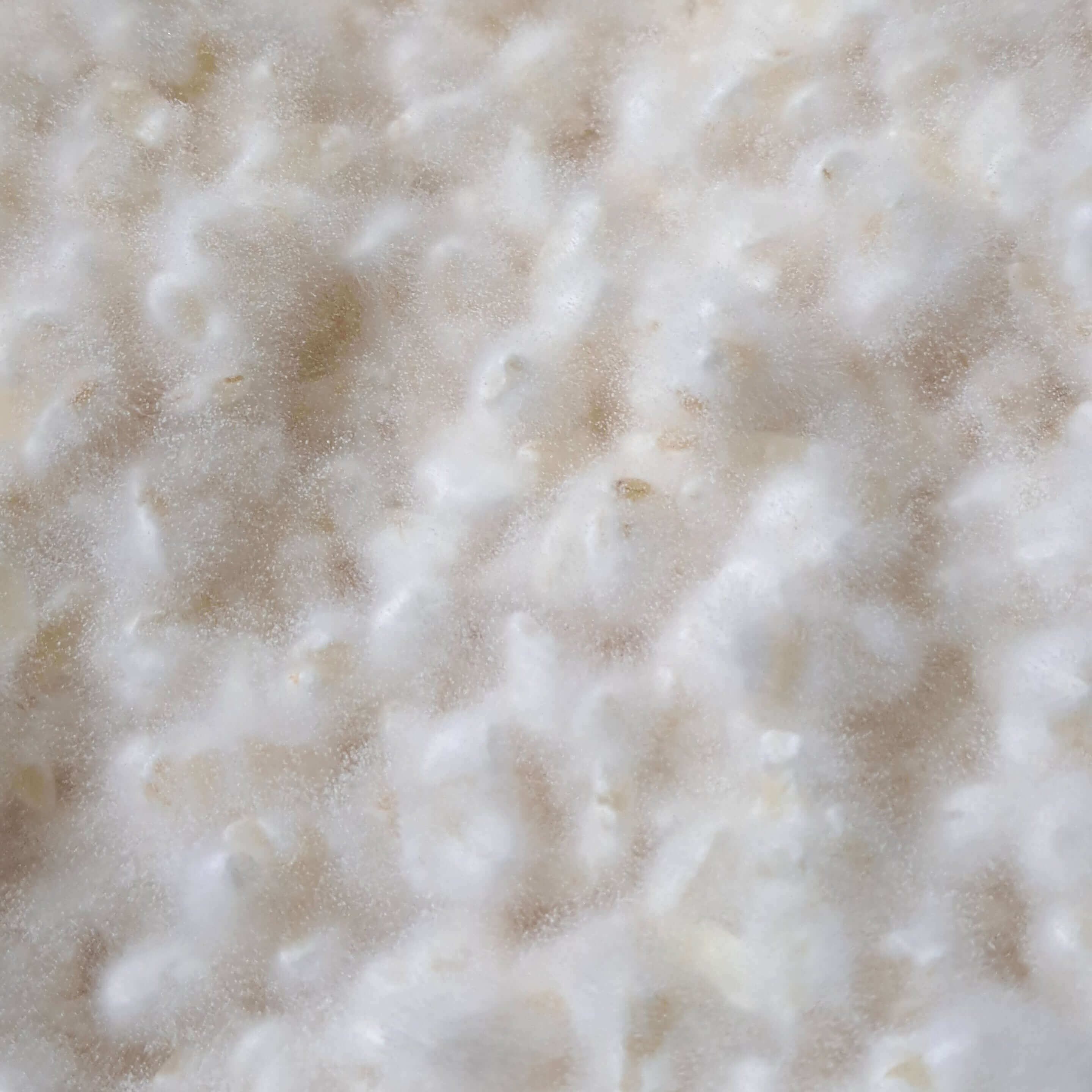 bio koji reis für amazake