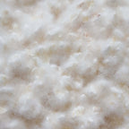 bio reis koji für das lemon shio koji