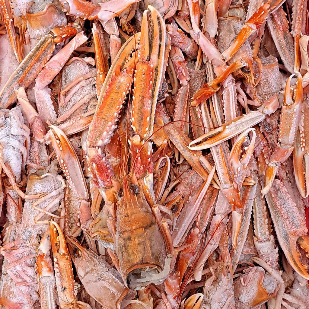 langostino garum kaisergranat