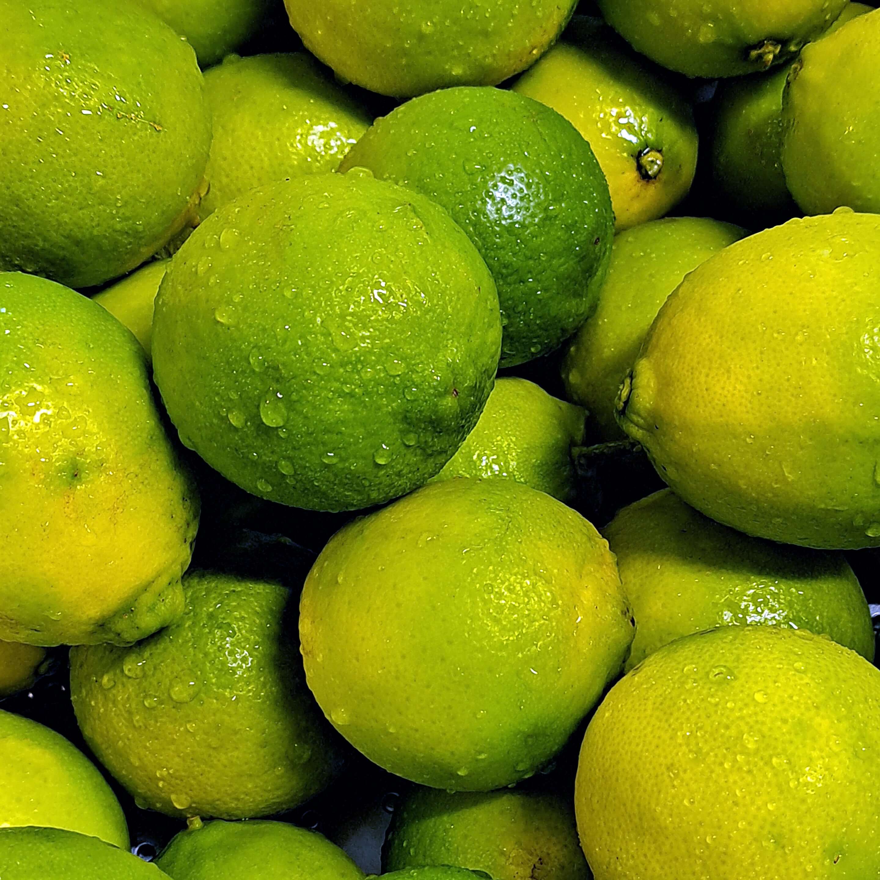 Bio Limette