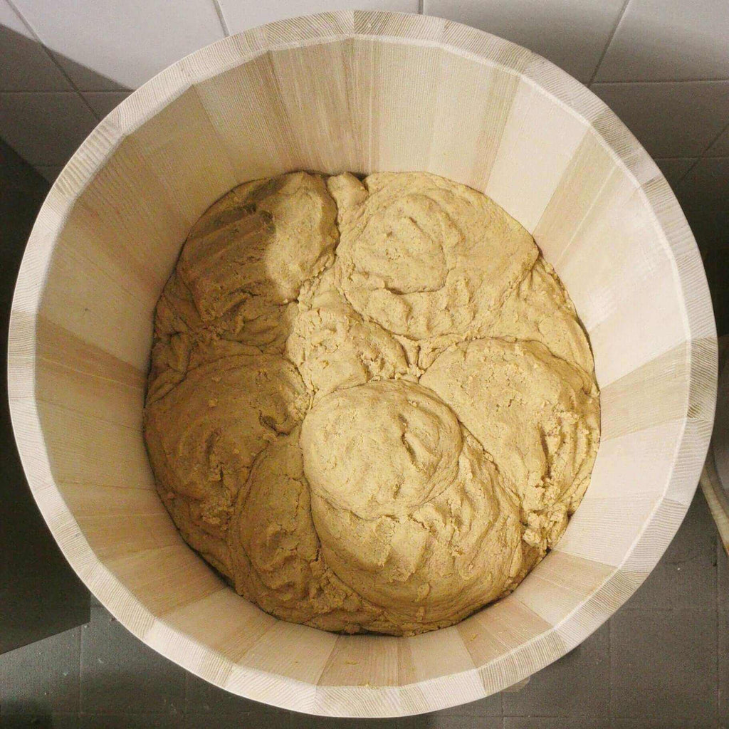 Shiro Miso Fass für Miso Workshop von mimi ferments