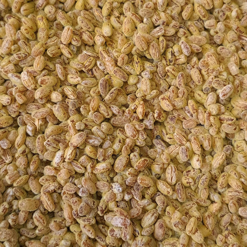 bio gersten koji mugi koji
