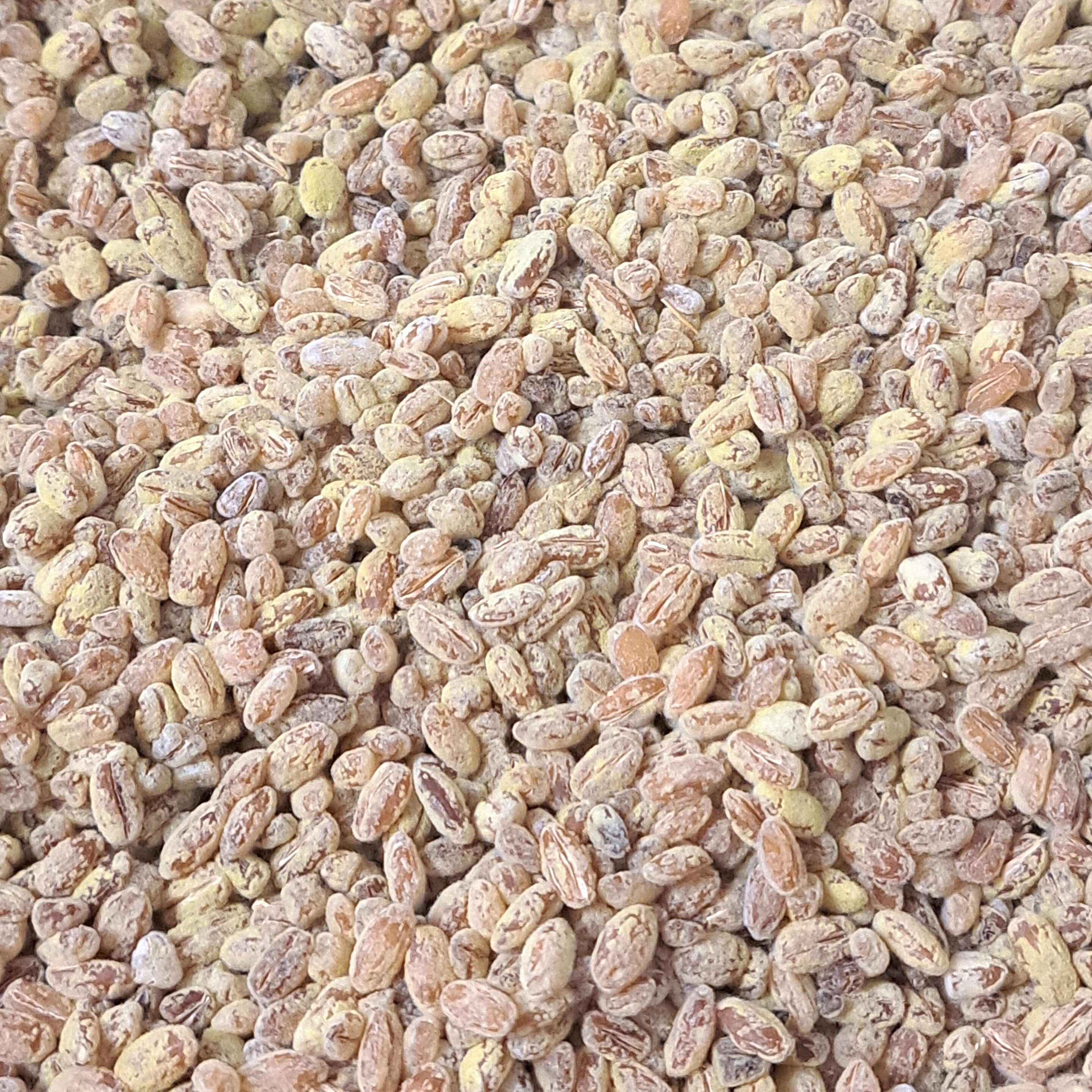 bio gersten koji mugi koji