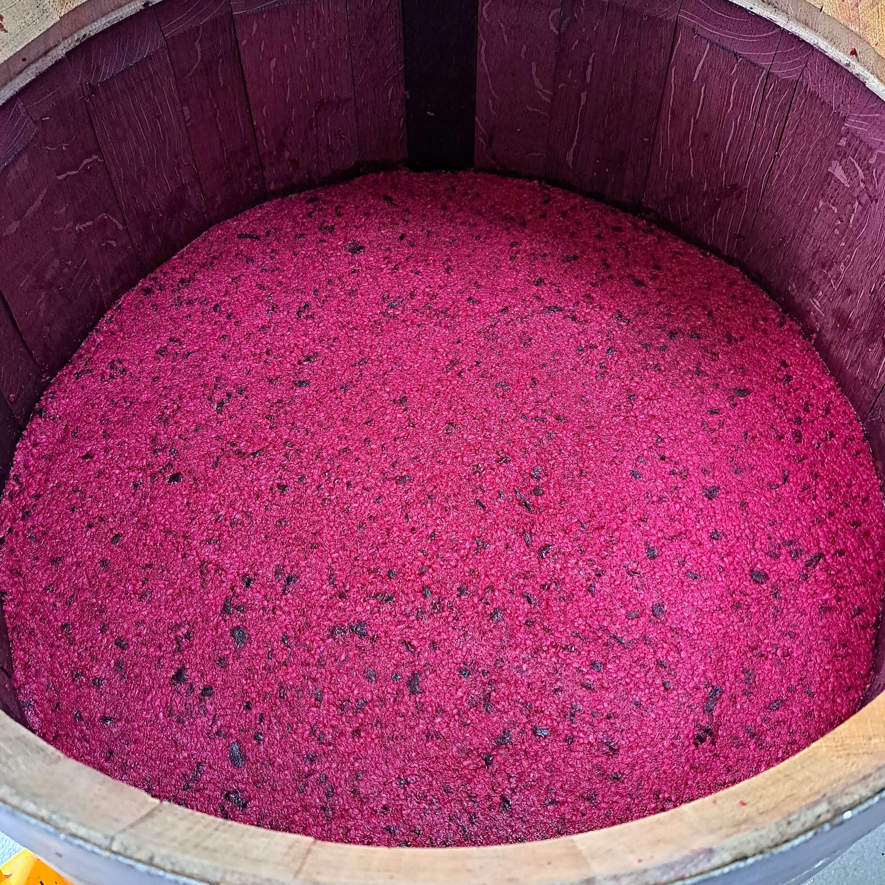 bio rote bete miso im Fass