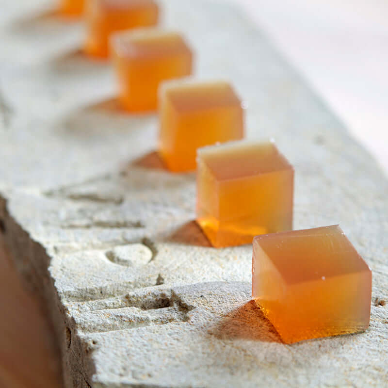 equinox by Reiko Kanazawa