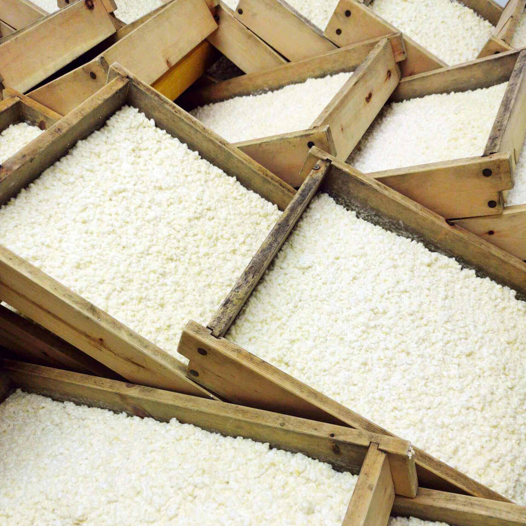 Miso workshop: Traditionelles japanisches Koji in Holzkisten, bereit zur Fermentation für Miso-Paste.