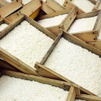 Miso workshop: Traditionelles japanisches Koji in Holzkisten, bereit zur Fermentation für Miso-Paste.