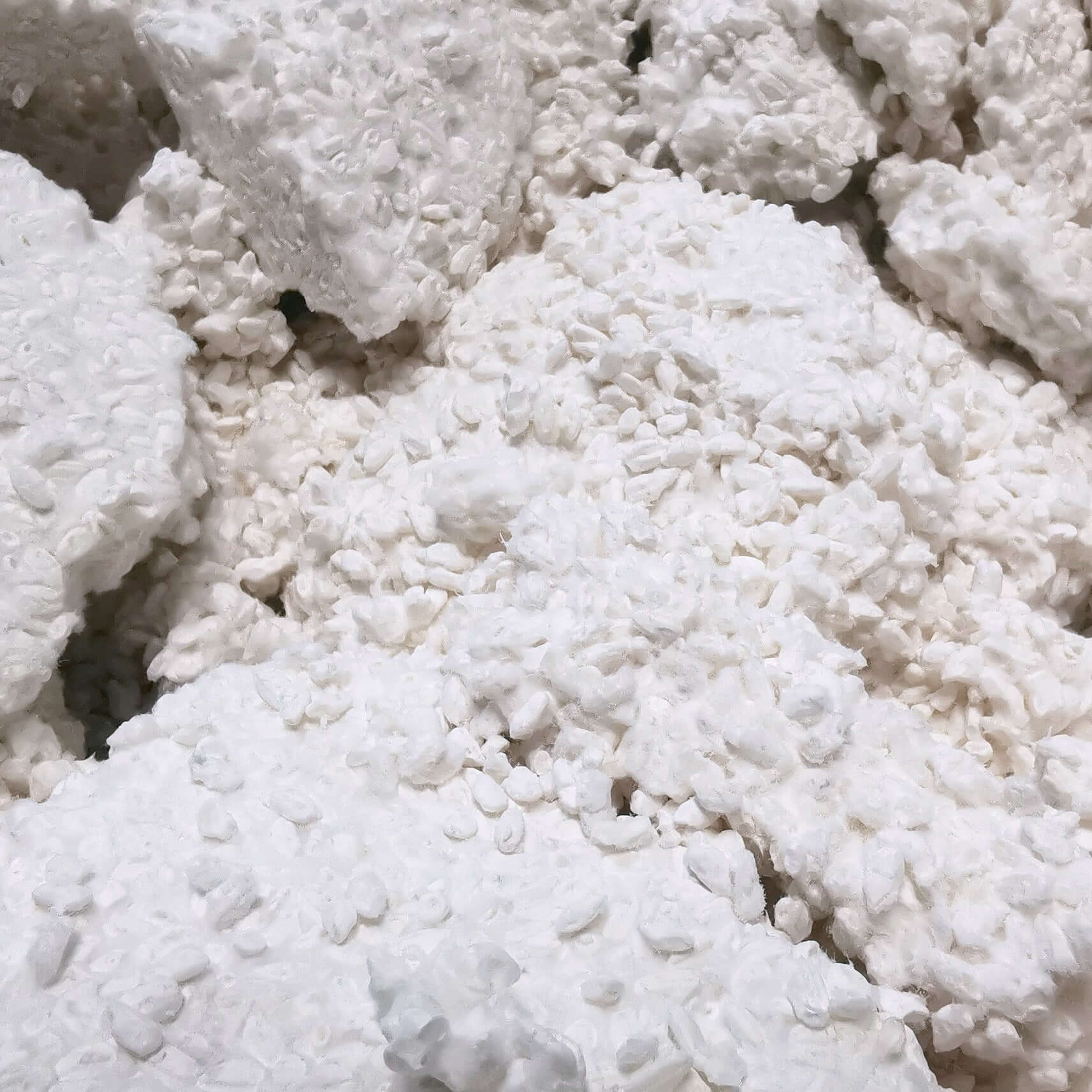 Detailansicht von Reis Koji von mimi ferments für kome koji