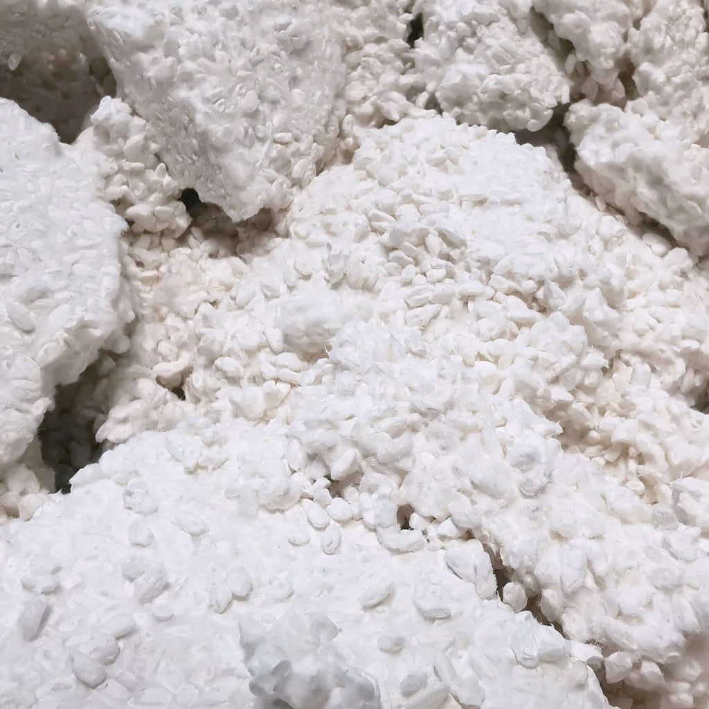 Detailansicht von Reis Koji von mimi ferments für kome koji frisch