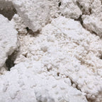 Detailansicht von Reis Koji von mimi ferments für kome koji frisch